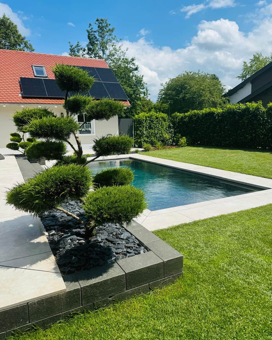 Teich und Pool